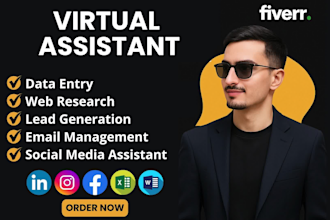 be your virtual assistant for data entry, web research, copy paste, social media