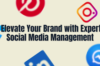 manage your social media with branded canva posts and scheduling