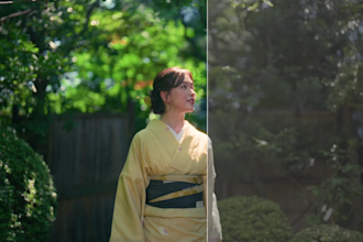 do professional video color grading and color correction
