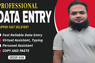 do precise and fast reliable data entry for your online shop
