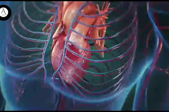 do 3d medical animation video 3d anatomy 3d scientific illustration 3d surgery