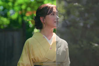 do professional video color grading and color correction