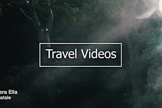 edit youtube videos or any video professionally