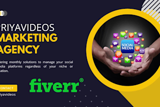 be your social media content manager