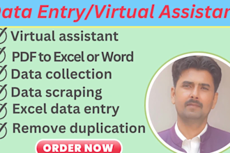 do data enrichment, appending, excel data entry, data cleaning, web research