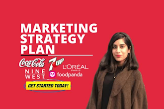 develop digital marketing strategy plan for your brand