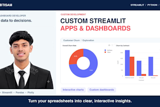 a custom streamlit app and interactive python dashboard