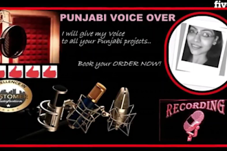 do perfect punjabi voiceover for your ivrs, ads, narration, documentary video