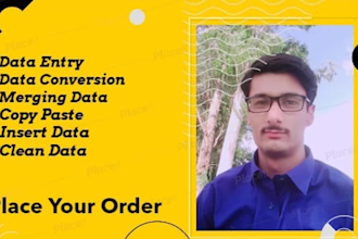do data entry, merging data, copy paste and data conversion