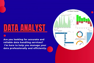 do data handling data analysis and excel formulas professionally
