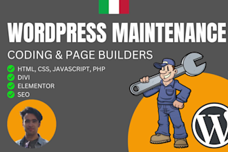 do maintenance for your wordpress website
