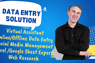 be your professional virtual secretary, data entry operator
