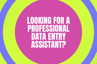be your professional virtual assistant for data entry and enrichment