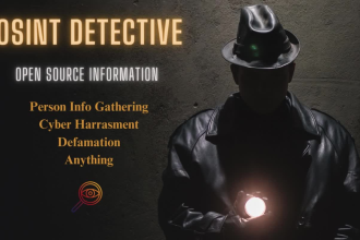 be your osint private investigator for online harassment background check