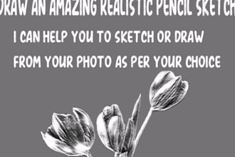 draw an amazing realistic pencil sketch portrait