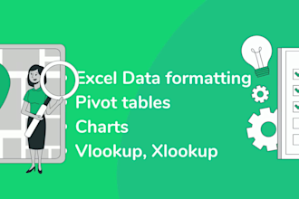 do excel data entry, cleaning, graphs, tables, xlookup