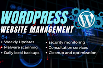 provide maintenance and support for your wordpress website