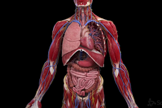 create 3d medical animation body video 3d explainer video anatomy visualization