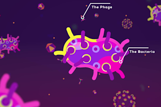 create scientific, medical animator and 2d explainer video