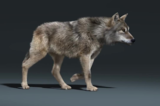 create 3d cgi animal animation, 3d character model, animal model,  rig character