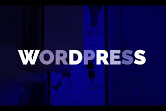 develop a professional and stunning wordpress website