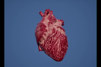 create game ready 3d assets with pbr texture and animation possible