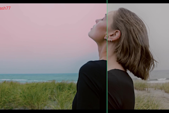 professional color grading or color correction in your video