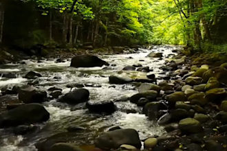 create HD meditation and relaxing music video for you
