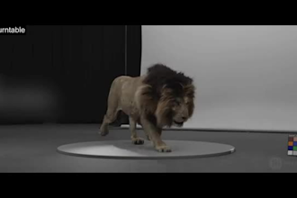 do realistic 3d animal animation cgi animal model, rig, fur, hair, xgen, vfx