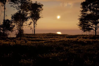 l create stunning 3d environments in unreal engine