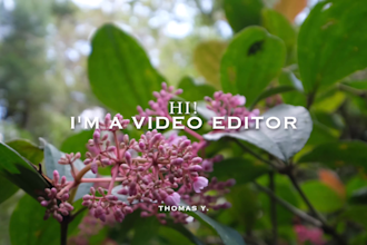 professionally edit your travel video