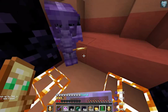 coach and train you in crystal pvp