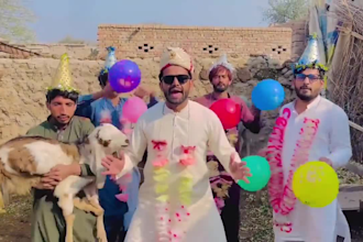 wish happy birthday video or happy birthday video