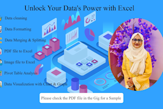 perform data formatting and data cleaning in excel