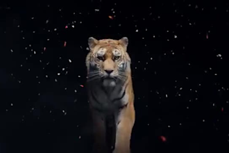 do cgi 3d animal animation 3d animal model fur xgen groom vfx 3d creature design
