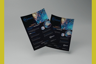 design a corporate professional flyer for your business