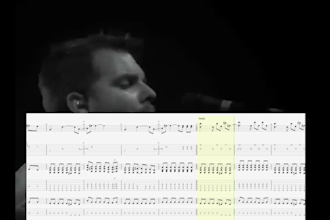do guitar transcriptions of any song