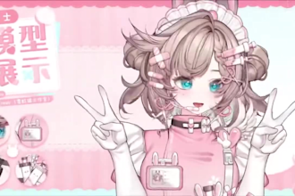 draw and rig high quality vtuber model, live 2d vtuber model, 2d vtuber model