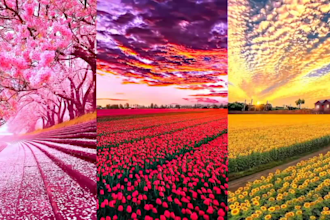 create 100  fantasy nature short, youtube shorts video with meditation music