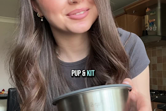 create engaging dog ugc video ads for tiktok and reels