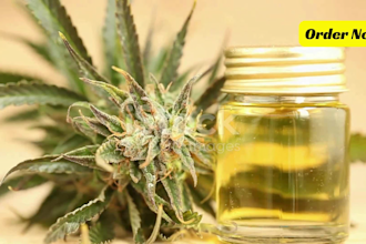 be your cannabis, vape, marijuana, health, and cbd blog post content writer