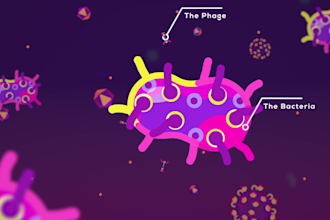 create science and medical 2d animated explainer video
