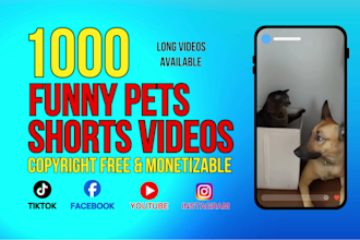 create 1000 funny pets youtube shorts and tiktok videos
