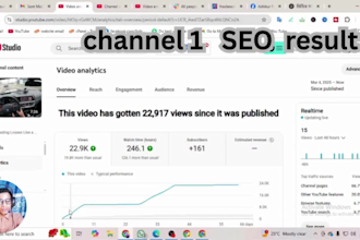 be your youtube video SEO expert and channel  growth