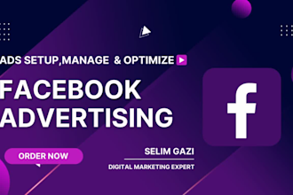 setup, manage facebook ads campaign and grow organic followers
