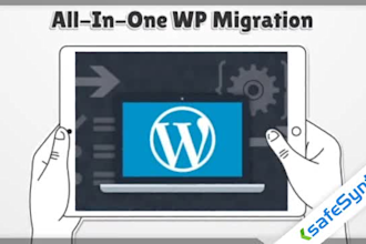 do wordpress migration, move, transfer, backup website within 12 hours