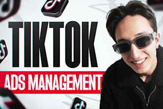 manage your tiktok ads manager tiktok dropshipping ads ad a media buyer expert