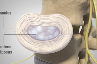 create realistic 3d spine anatomy animation and surgical visualization