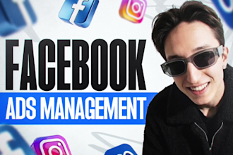manage your meta ads manager facebook ads campaign paid ads media buyer expert
