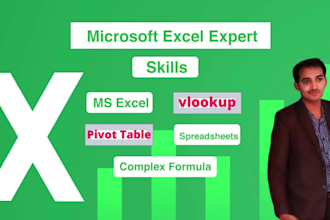 create excel, google sheets, reports, and balance sheet